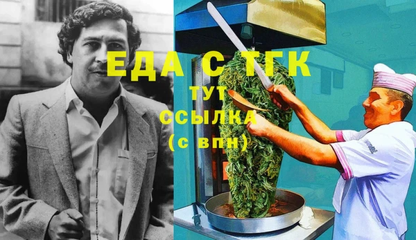 индика Алзамай
