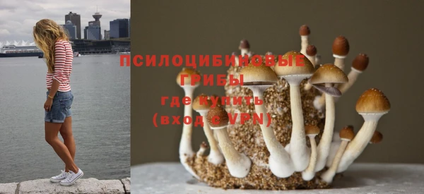 кристаллы Алексеевка