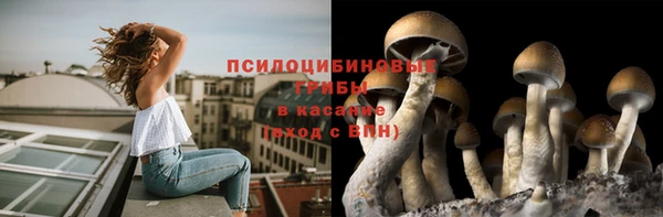 не бодяженный Саяногорск
