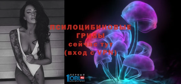 PSILOCYBIN Алексин