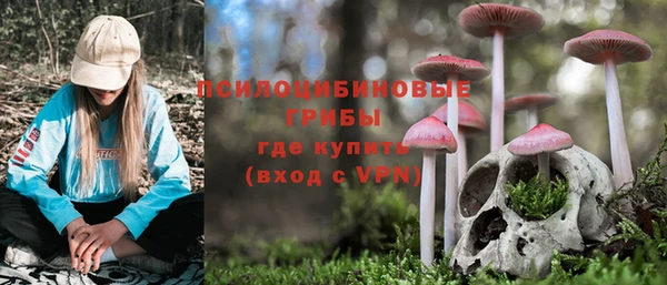 PSILOCYBIN Алексин