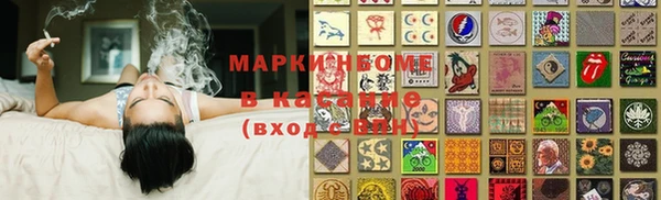 индика Алзамай