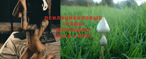 индика Алзамай