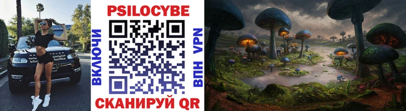 Псилоцибиновые грибы прущие грибы  Солигалич 